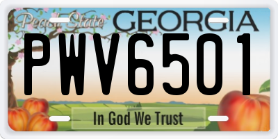 GA license plate PWV6501