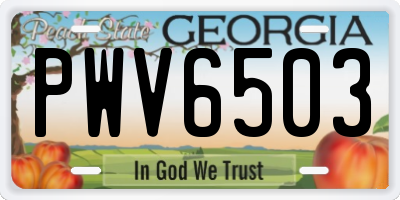 GA license plate PWV6503