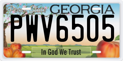 GA license plate PWV6505