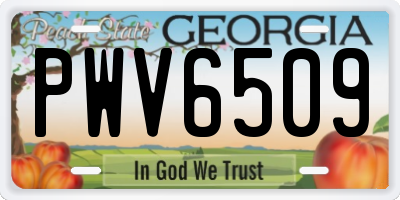 GA license plate PWV6509