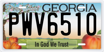 GA license plate PWV6510