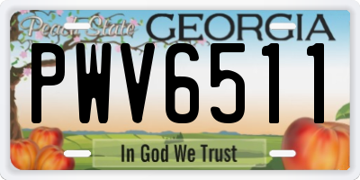 GA license plate PWV6511