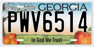 GA license plate PWV6514