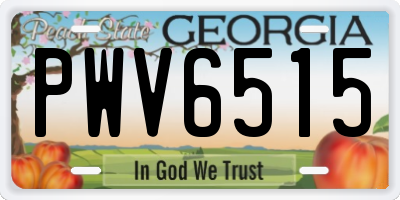 GA license plate PWV6515