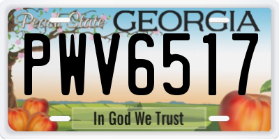 GA license plate PWV6517