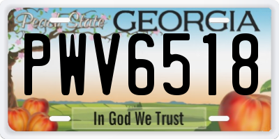 GA license plate PWV6518