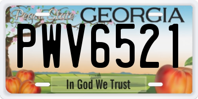GA license plate PWV6521