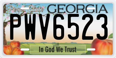 GA license plate PWV6523