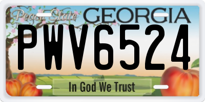 GA license plate PWV6524