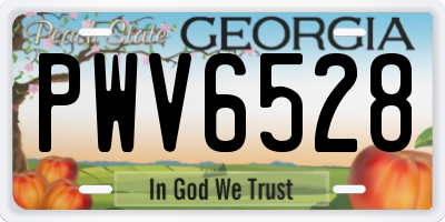 GA license plate PWV6528