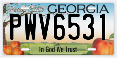 GA license plate PWV6531