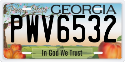 GA license plate PWV6532