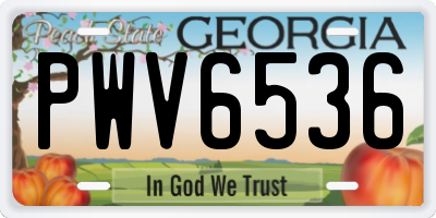 GA license plate PWV6536
