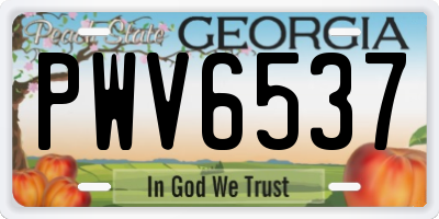 GA license plate PWV6537