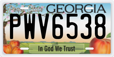GA license plate PWV6538