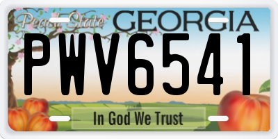 GA license plate PWV6541
