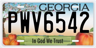 GA license plate PWV6542