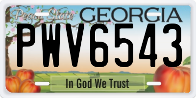 GA license plate PWV6543