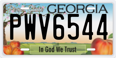 GA license plate PWV6544