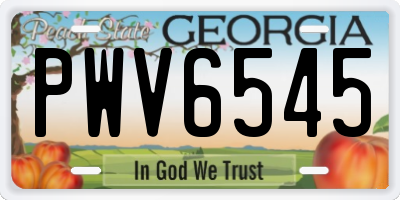 GA license plate PWV6545