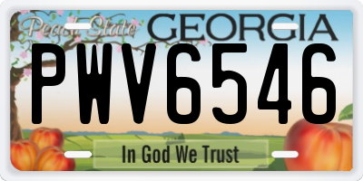 GA license plate PWV6546