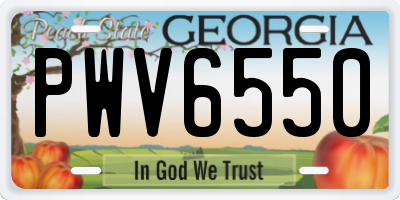 GA license plate PWV6550