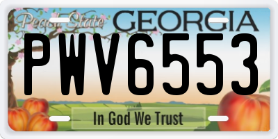 GA license plate PWV6553