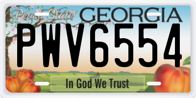 GA license plate PWV6554