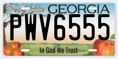 GA license plate PWV6555