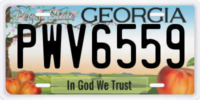 GA license plate PWV6559