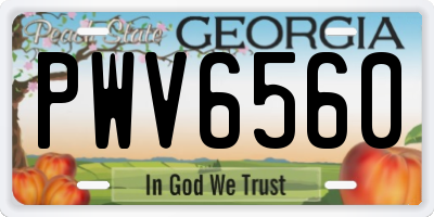 GA license plate PWV6560