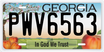 GA license plate PWV6563