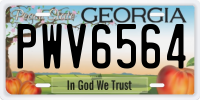 GA license plate PWV6564