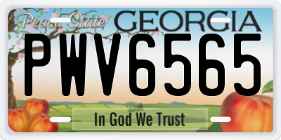 GA license plate PWV6565
