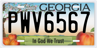 GA license plate PWV6567