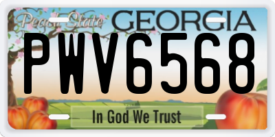 GA license plate PWV6568