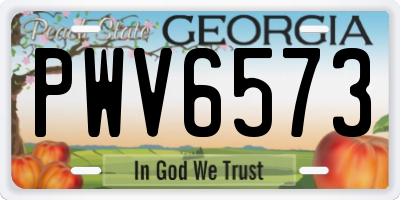 GA license plate PWV6573