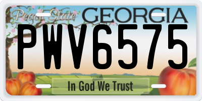 GA license plate PWV6575