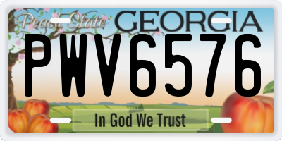 GA license plate PWV6576