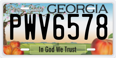 GA license plate PWV6578