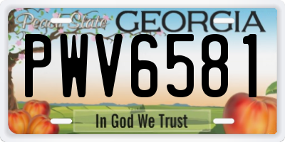 GA license plate PWV6581