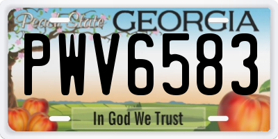 GA license plate PWV6583