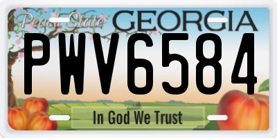 GA license plate PWV6584