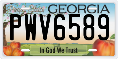 GA license plate PWV6589