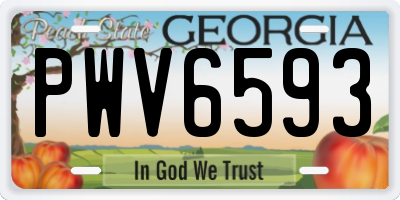 GA license plate PWV6593