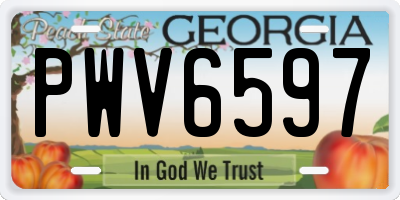 GA license plate PWV6597