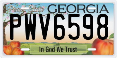 GA license plate PWV6598
