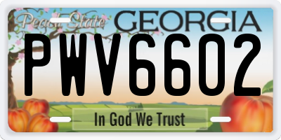 GA license plate PWV6602