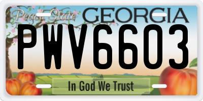 GA license plate PWV6603