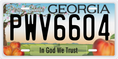 GA license plate PWV6604